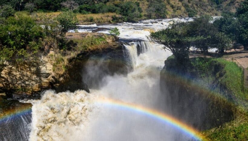 3 Days safari to Murchison Falls National Park