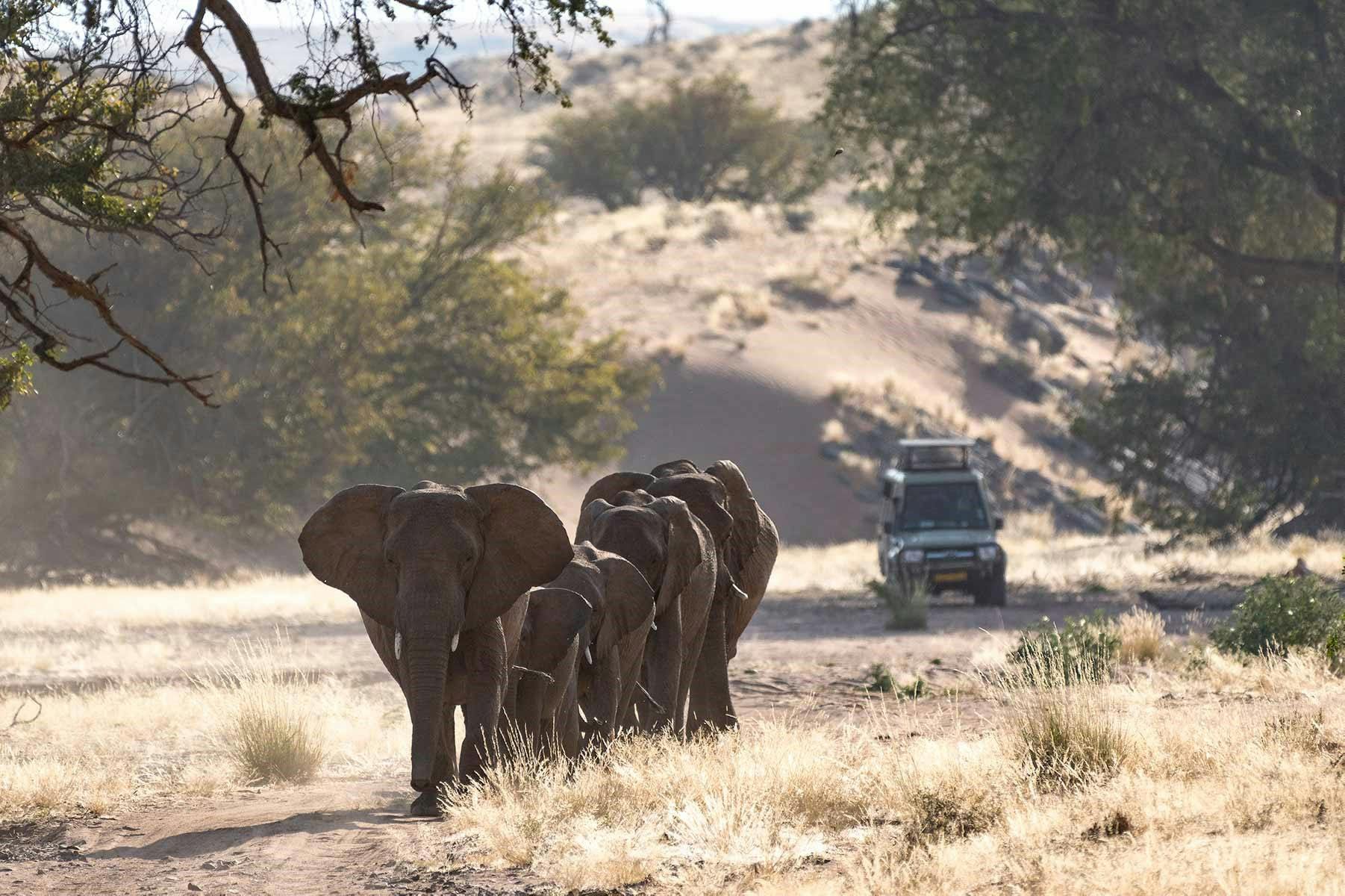 15-Day Namibia, Zimbabwe and Botswana Safari